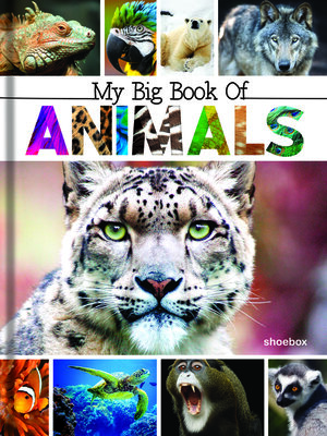 cover image of My Big Book of Animals